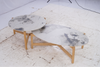 Padua Outdoor Coffee Tables (Set of 2)